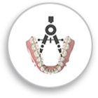 We measure dental arches